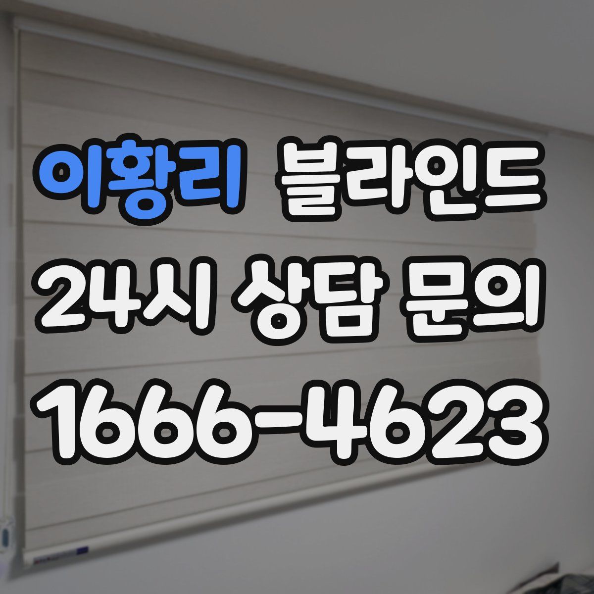이황리 블라인드