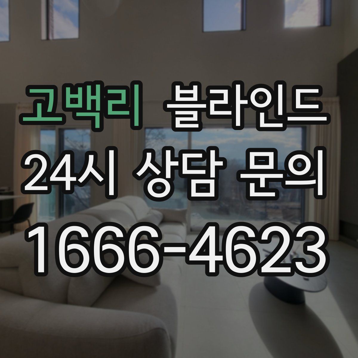 고백리 블라인드