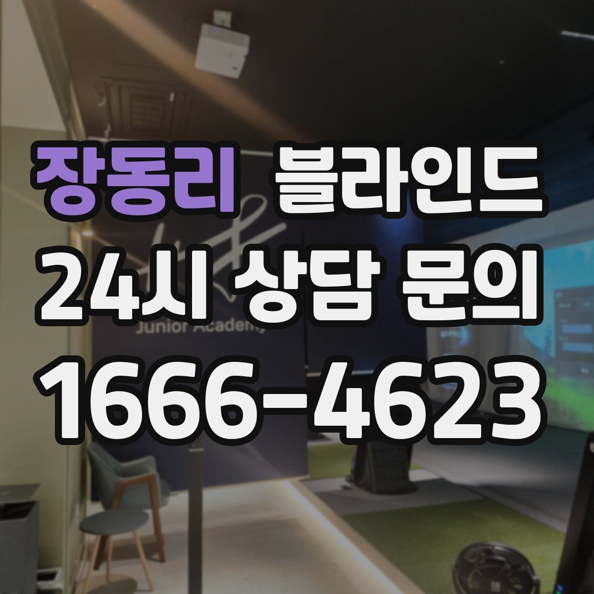 장동리 블라인드