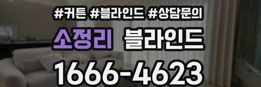 소정리 블라인드