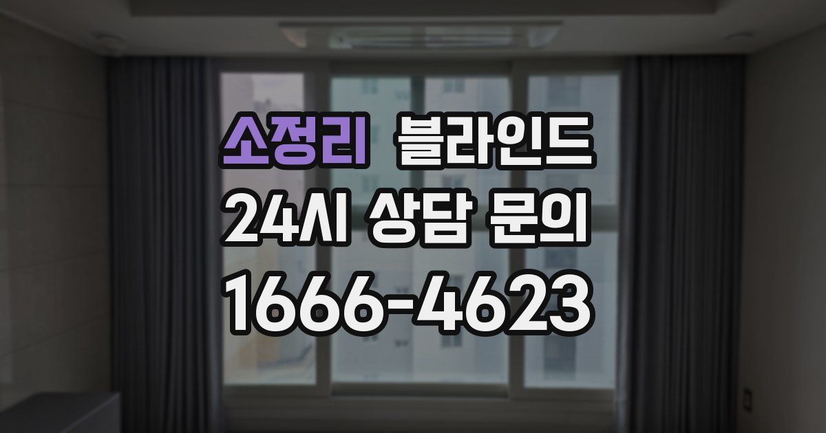 소정리 블라인드