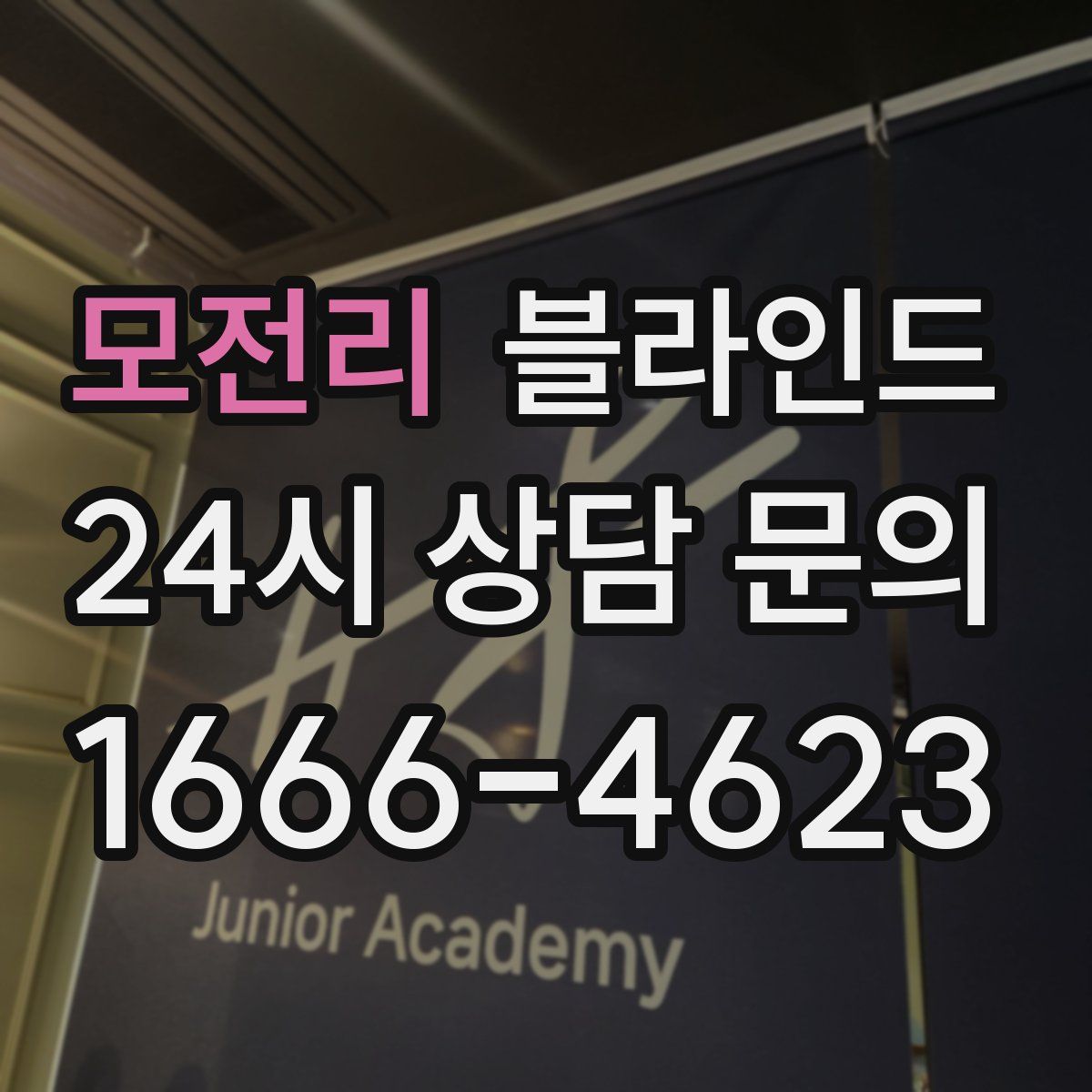 모전리 블라인드