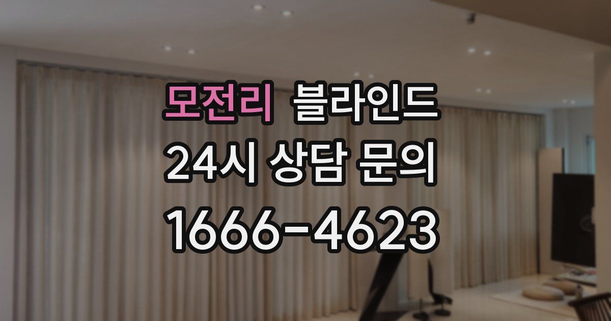 모전리 블라인드