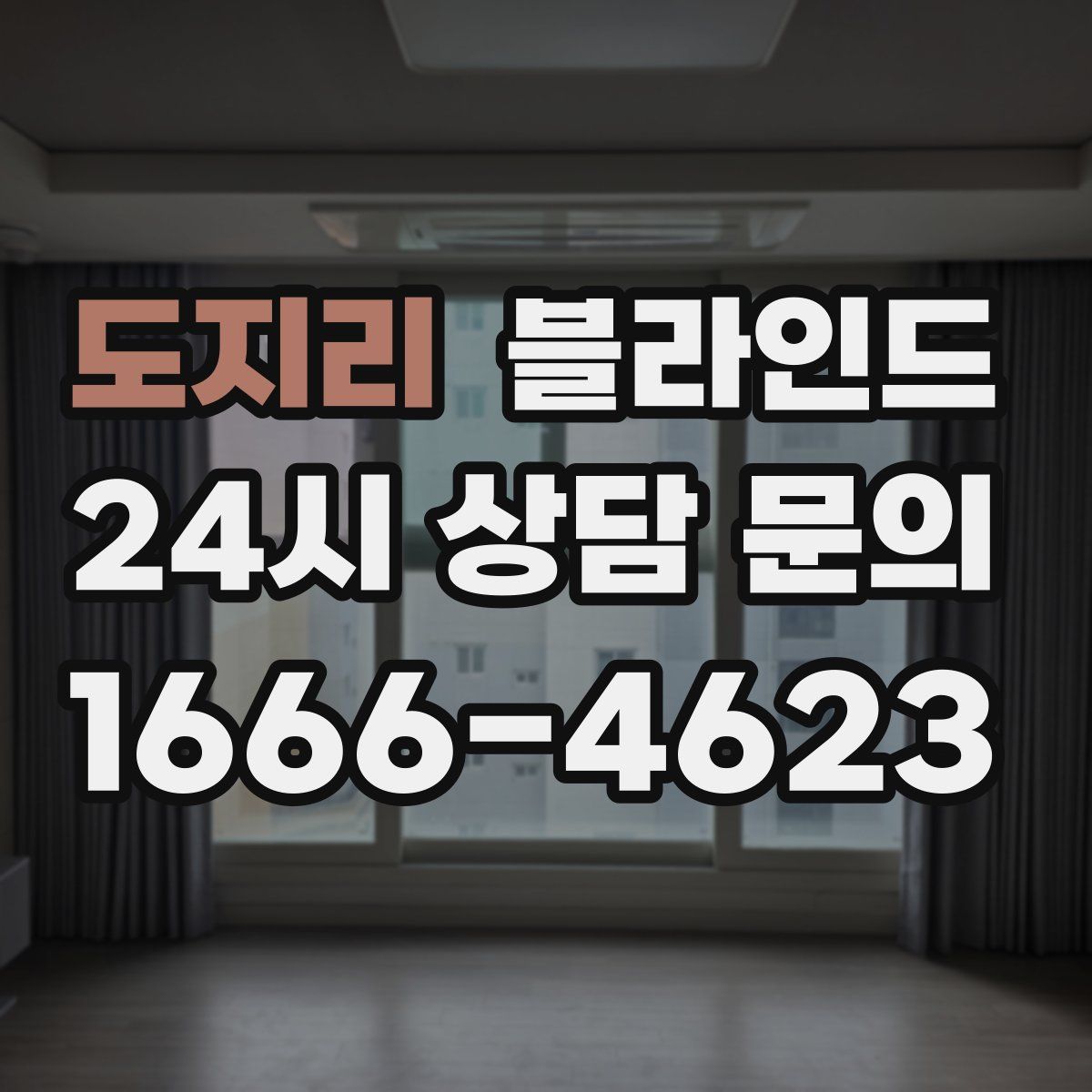 도지리 블라인드