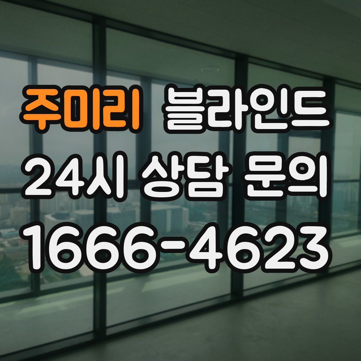 주미리 블라인드