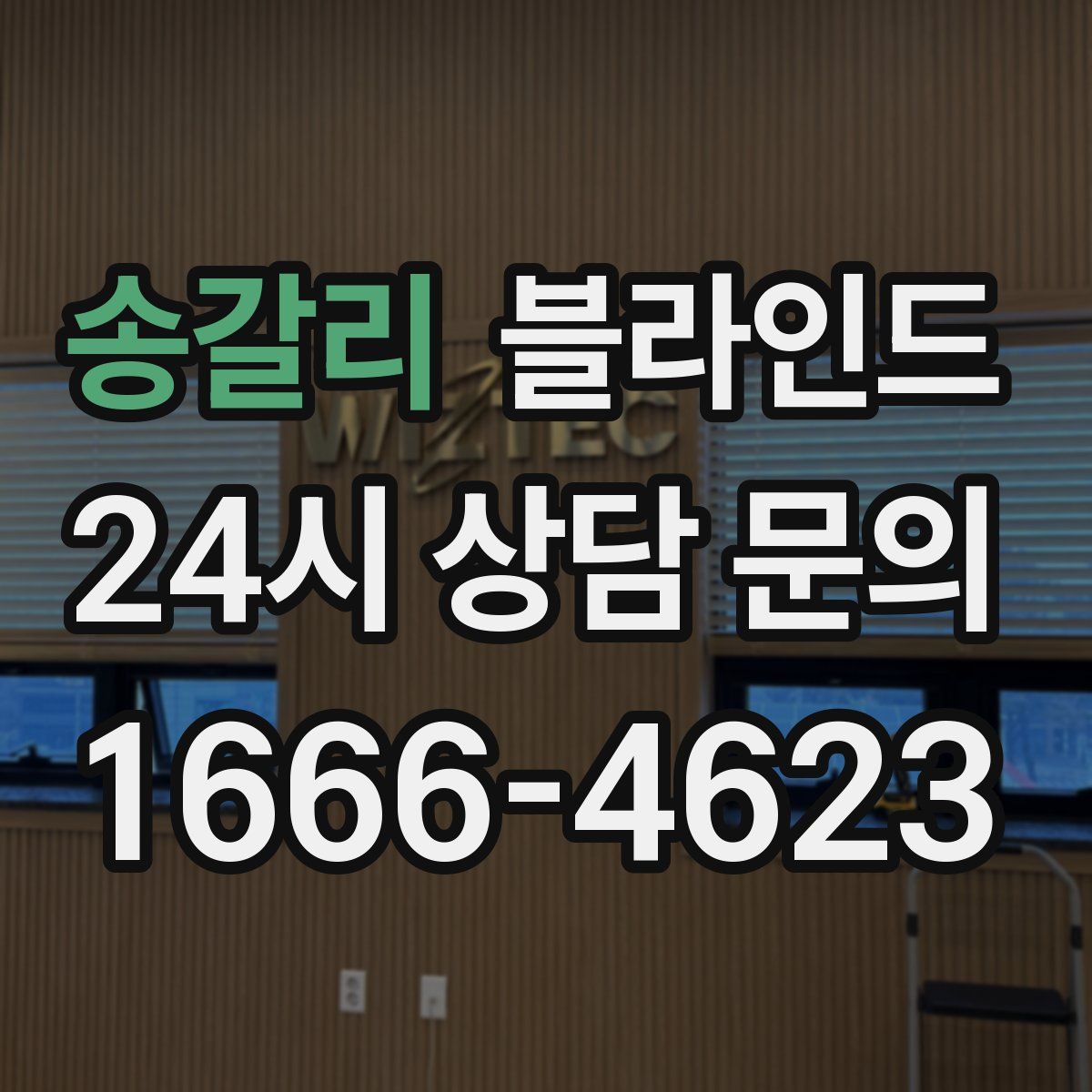 송갈리 블라인드