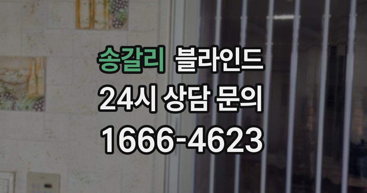 송갈리 블라인드