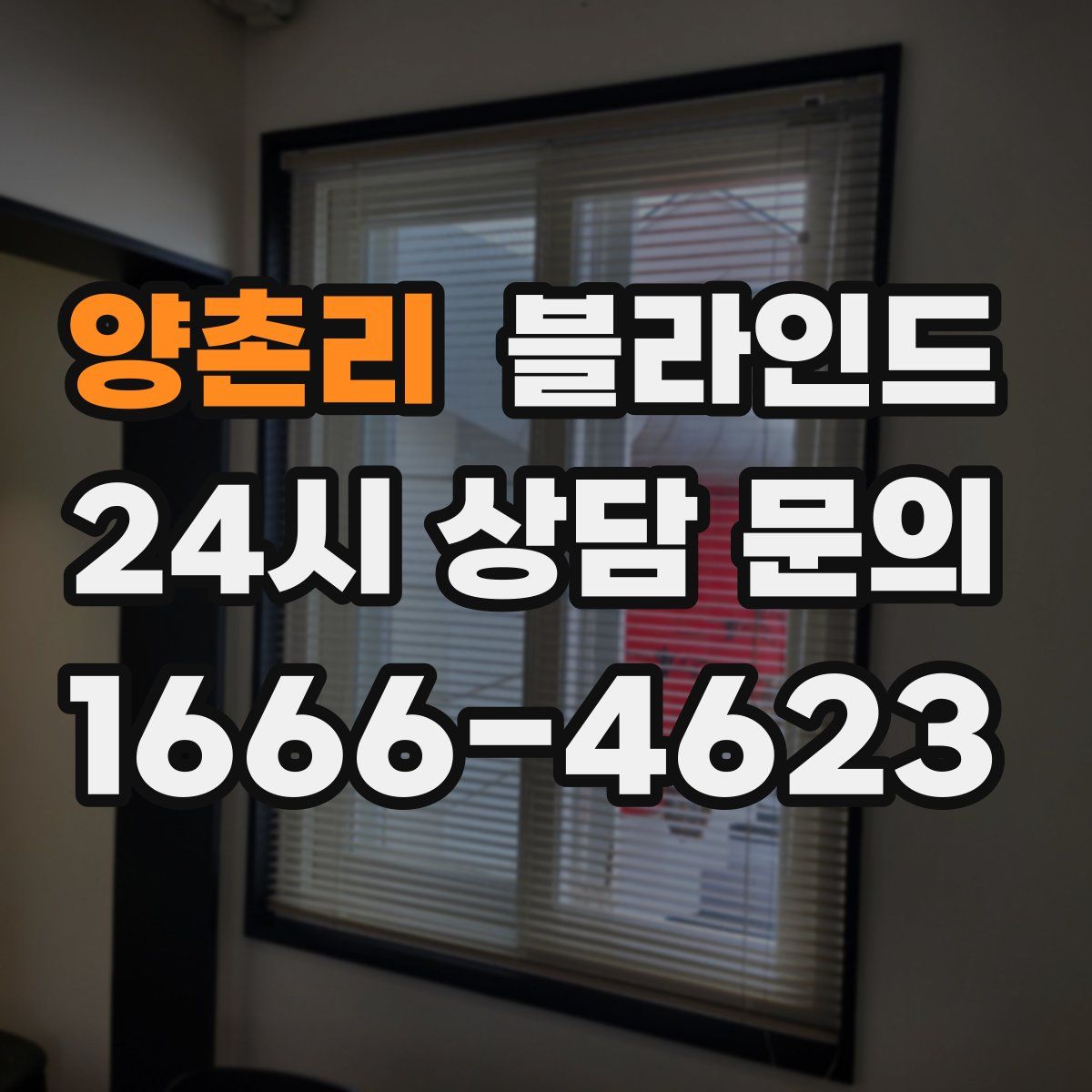양촌리 블라인드
