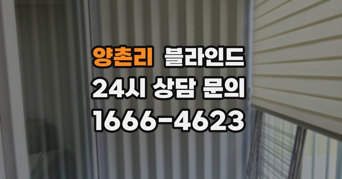 양촌리 블라인드