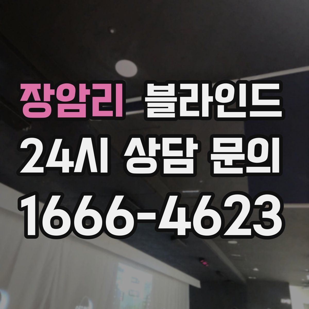 장암리 블라인드