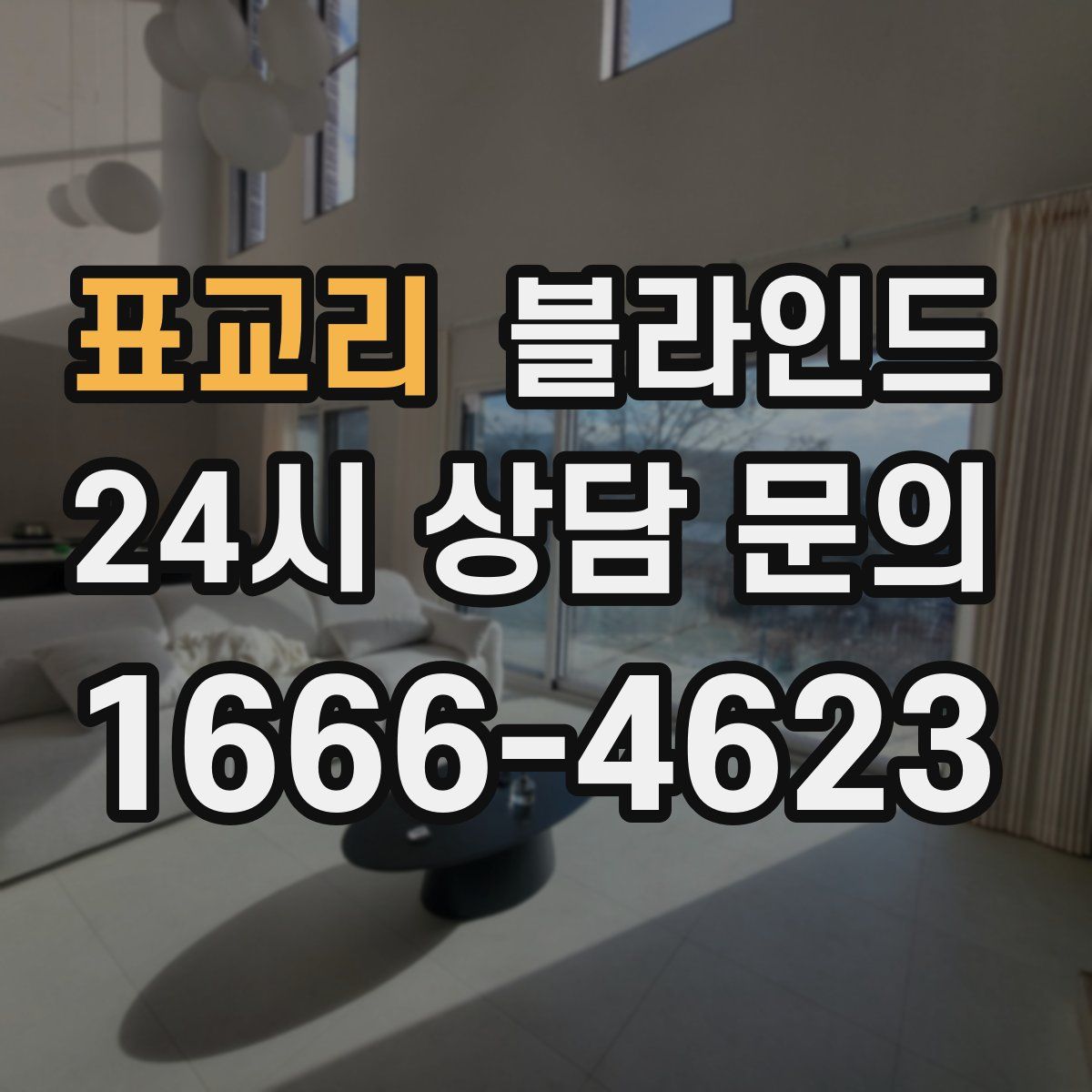 표교리 블라인드