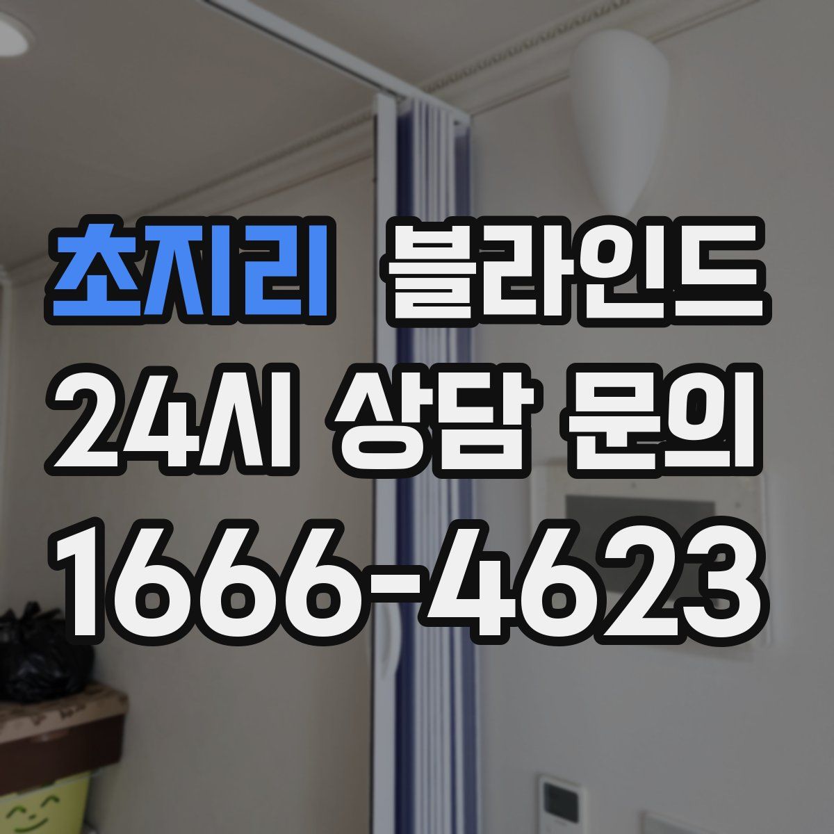 초지리 블라인드