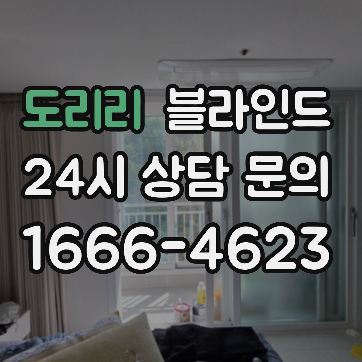 도리리 블라인드