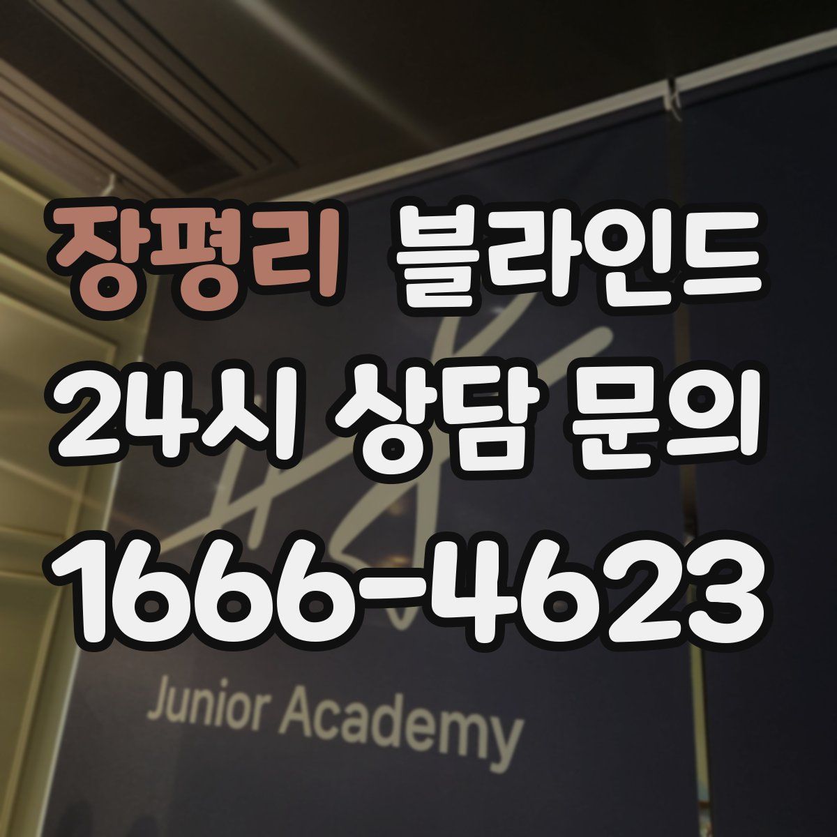장평리 블라인드