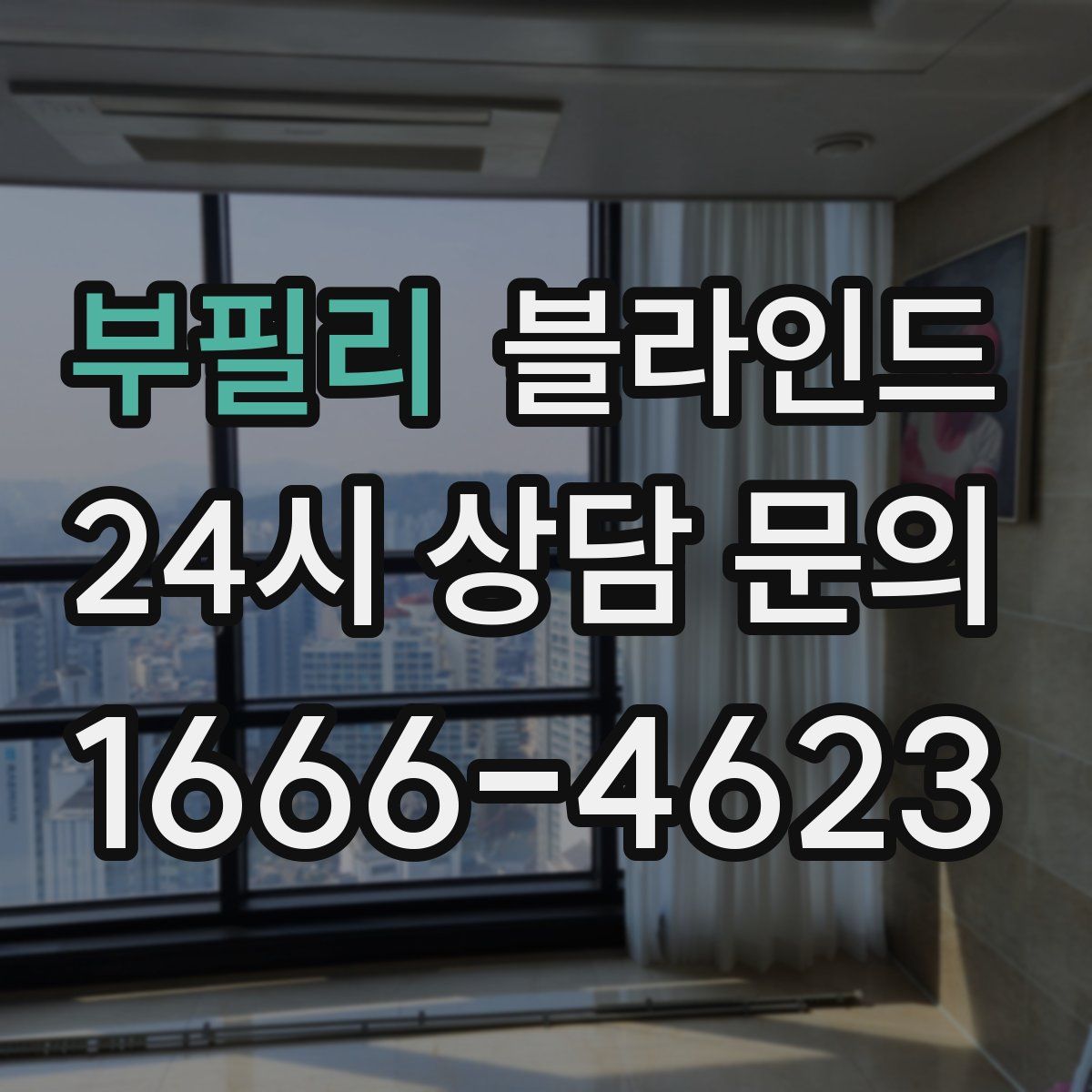 부필리 블라인드