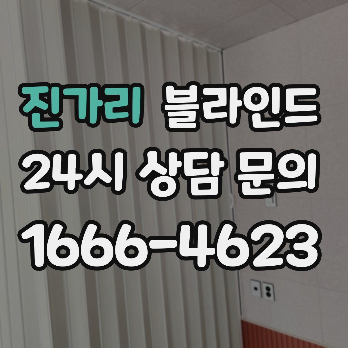 진가리 블라인드
