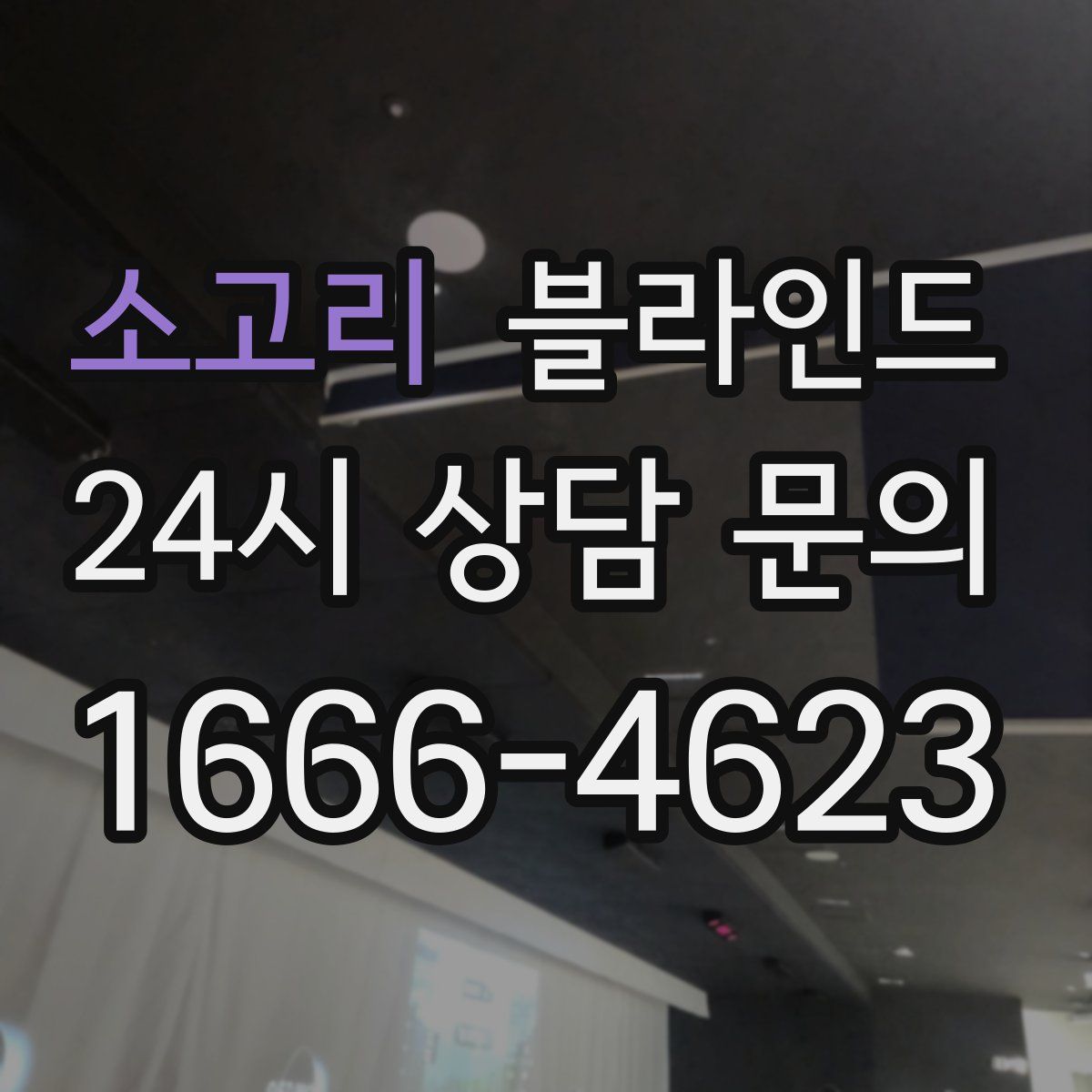 소고리 블라인드