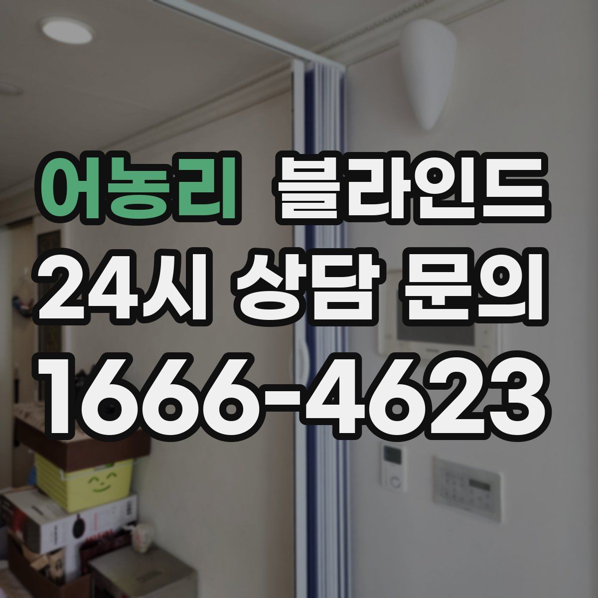 어농리 블라인드