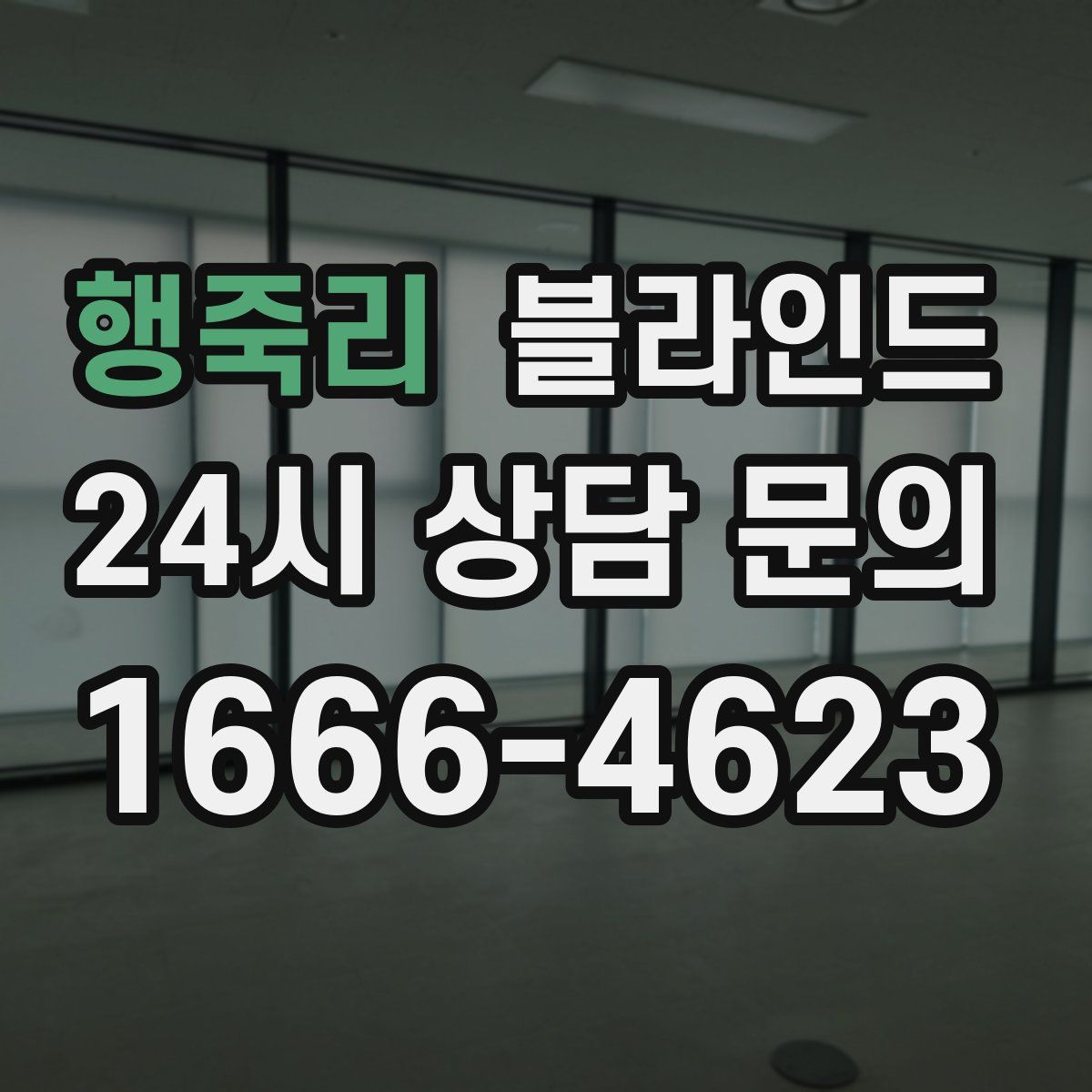 행죽리 블라인드