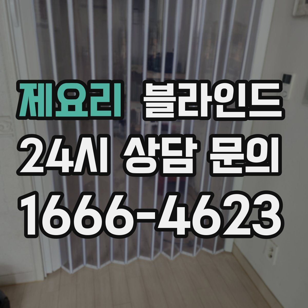 제요리 블라인드
