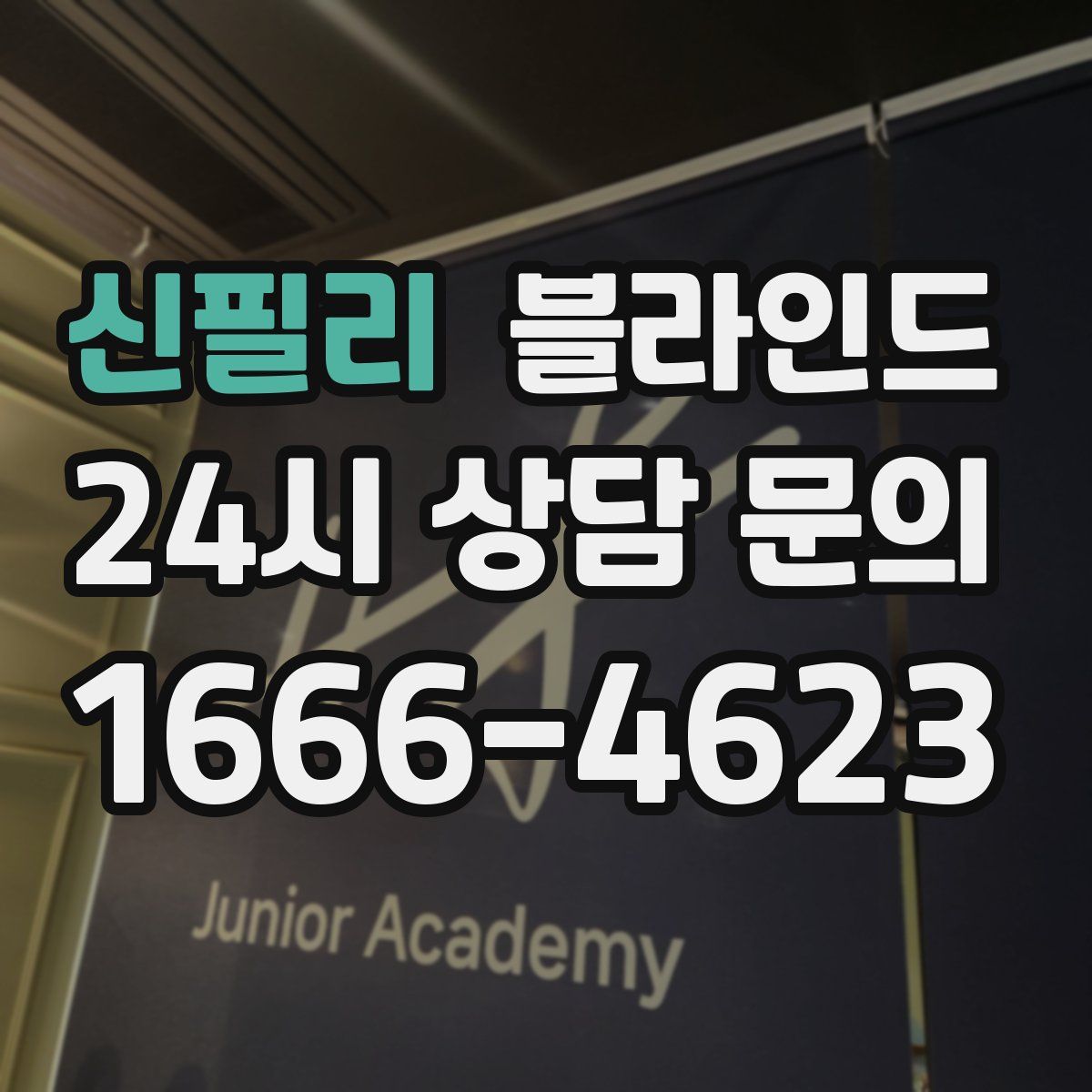 신필리 블라인드