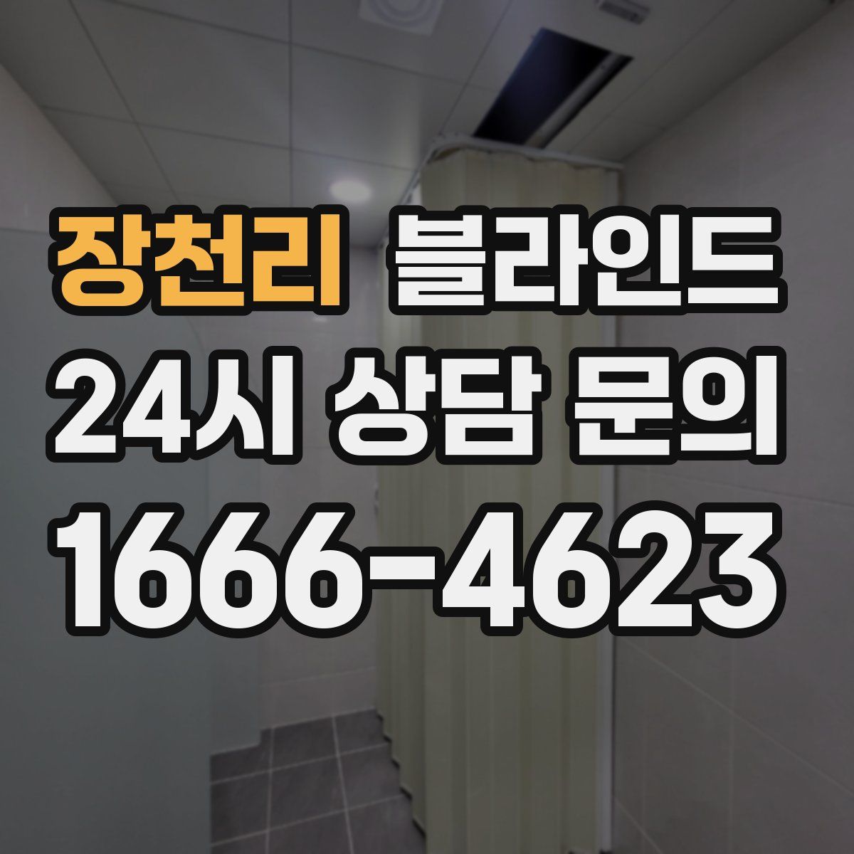 장천리 블라인드
