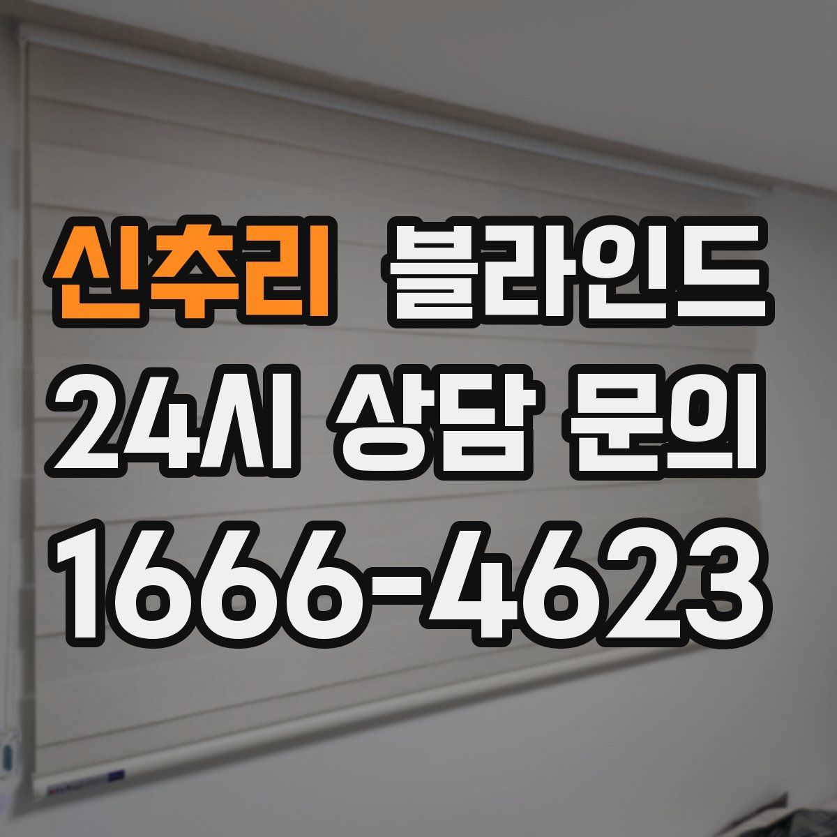 신추리 블라인드