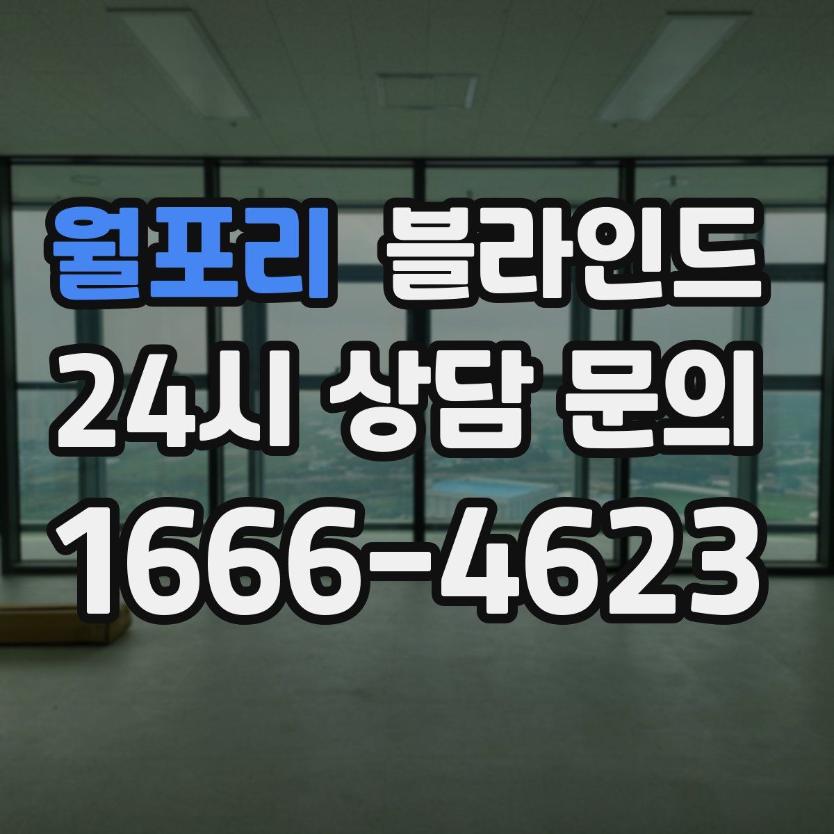 월포리 블라인드