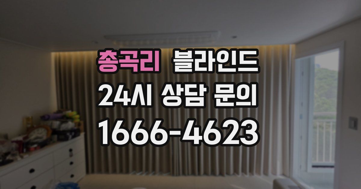 총곡리 블라인드