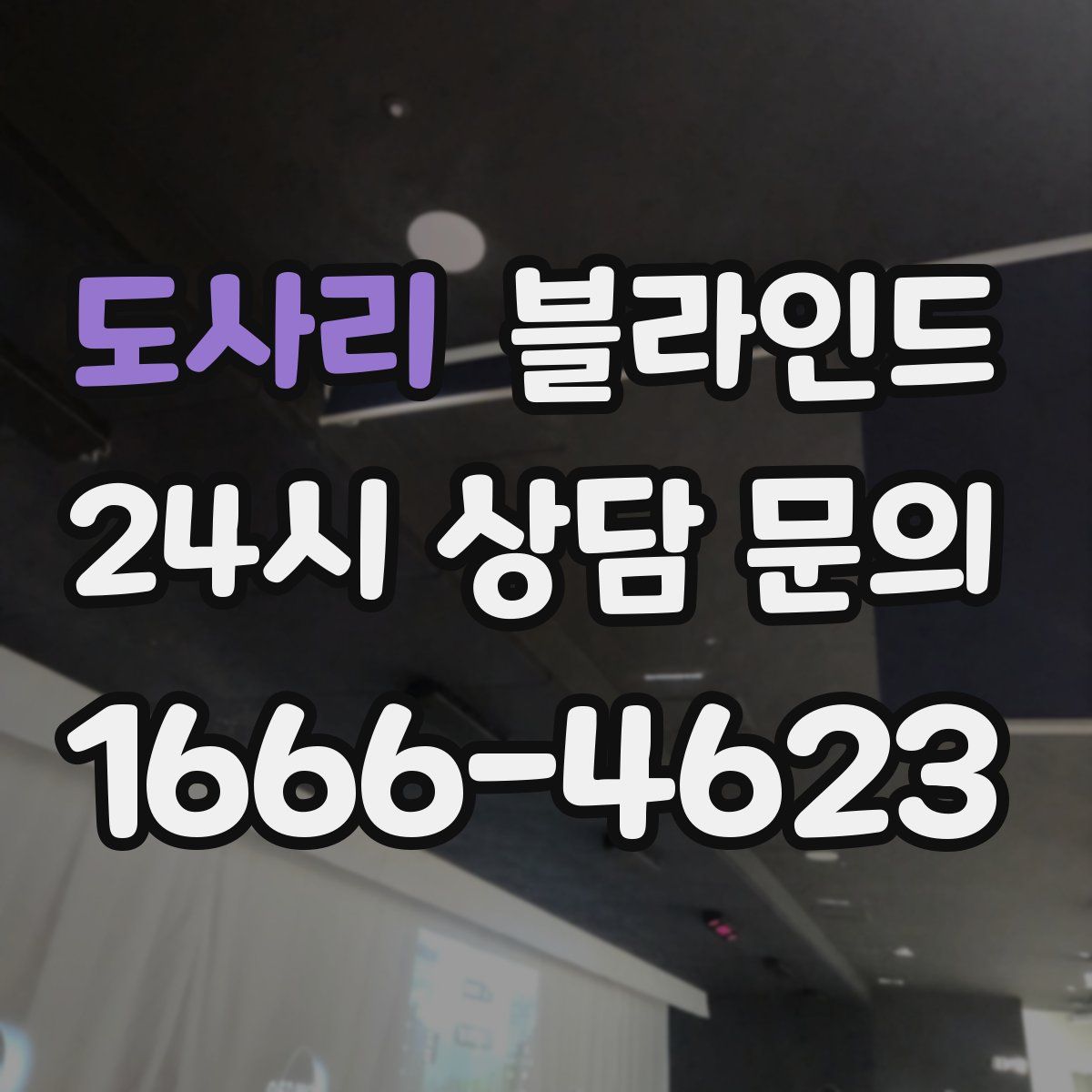 도사리 블라인드