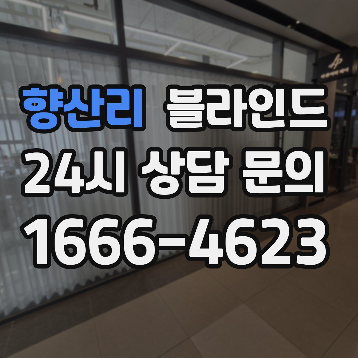 향산리 블라인드