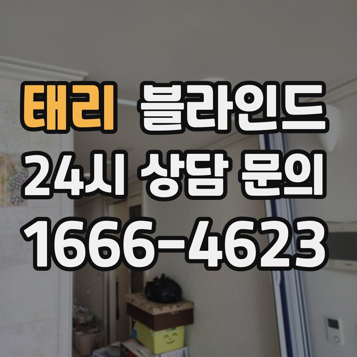 태리 블라인드