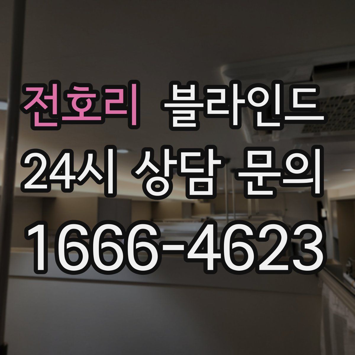 전호리 블라인드