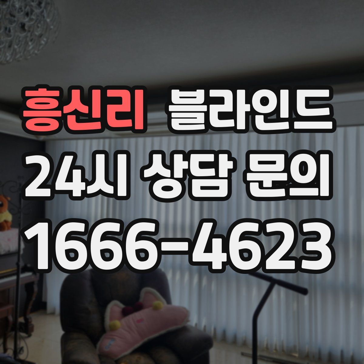 흥신리 블라인드