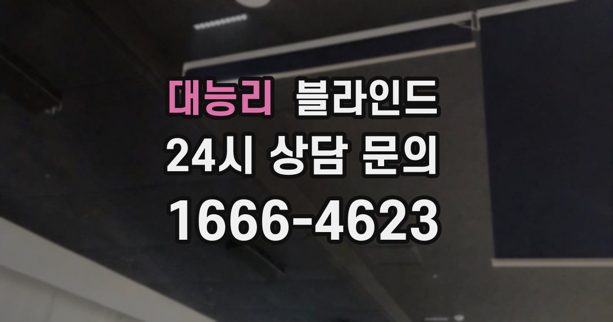 대능리 블라인드