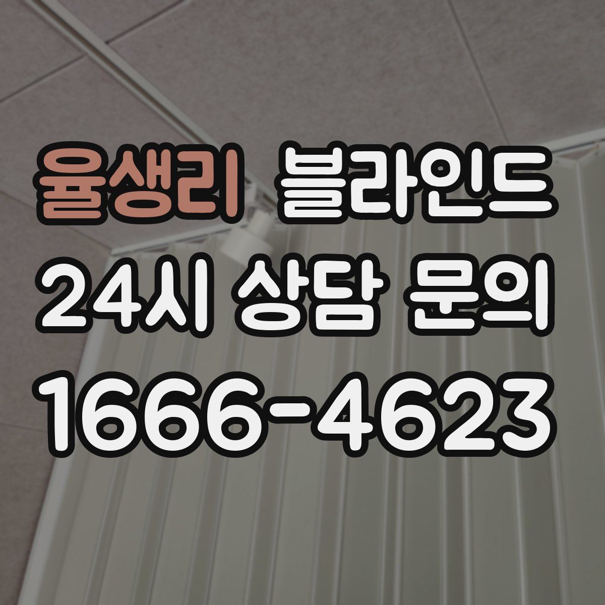 율생리 블라인드