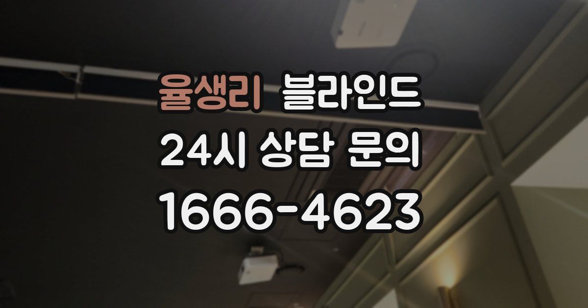 율생리 블라인드
