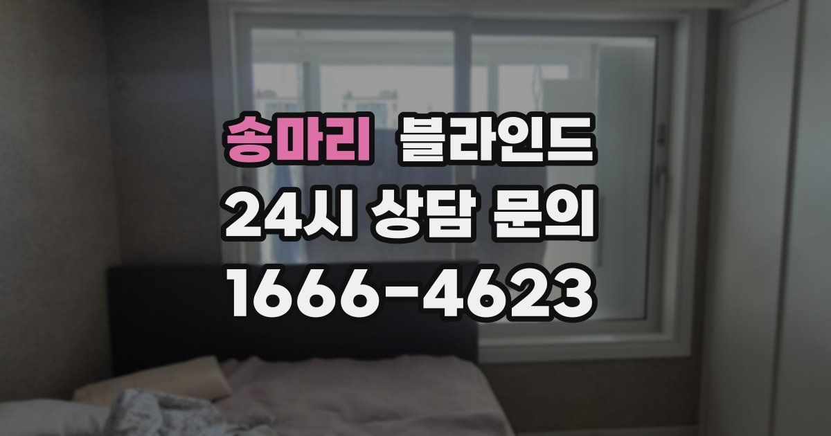 송마리 블라인드