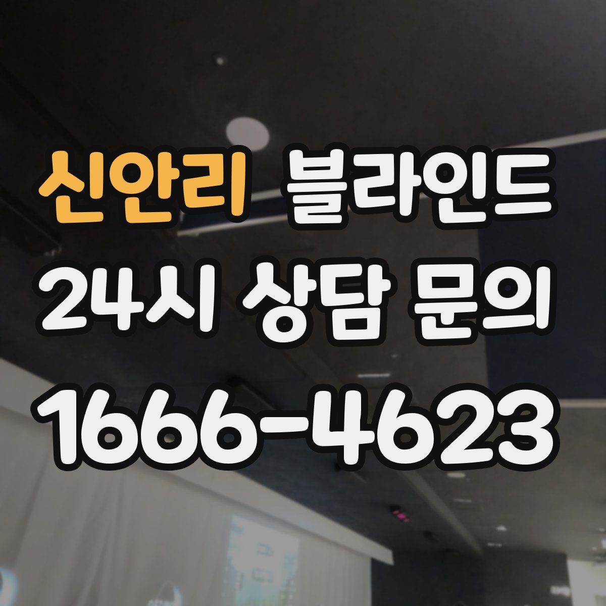 신안리 블라인드