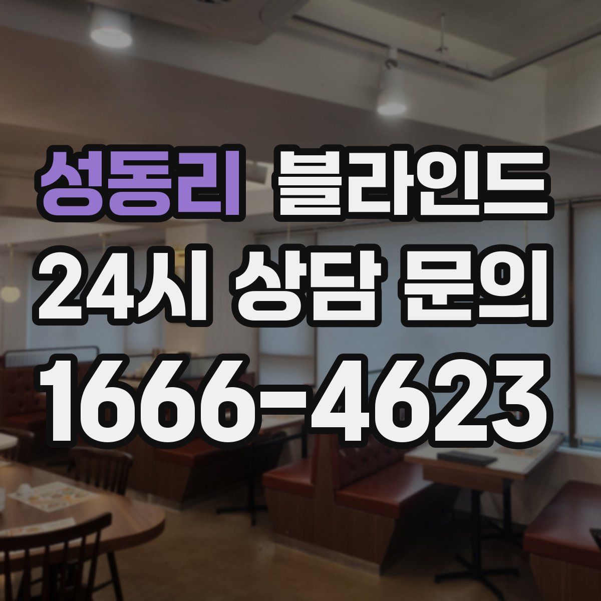 성동리 블라인드