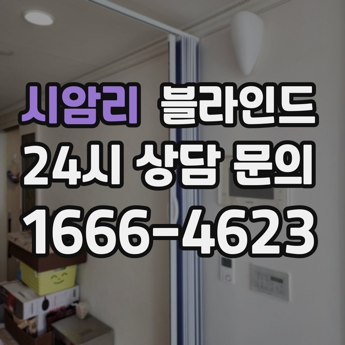 시암리 블라인드