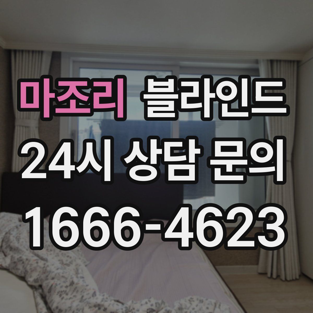 마조리 블라인드