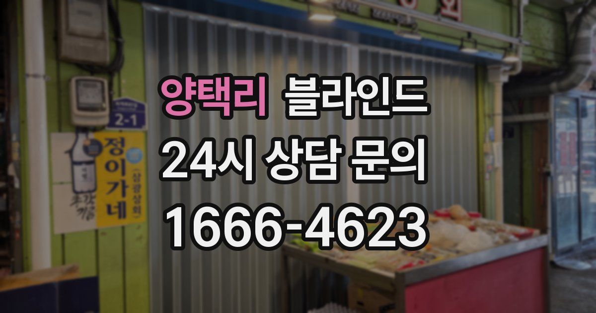 양택리 블라인드