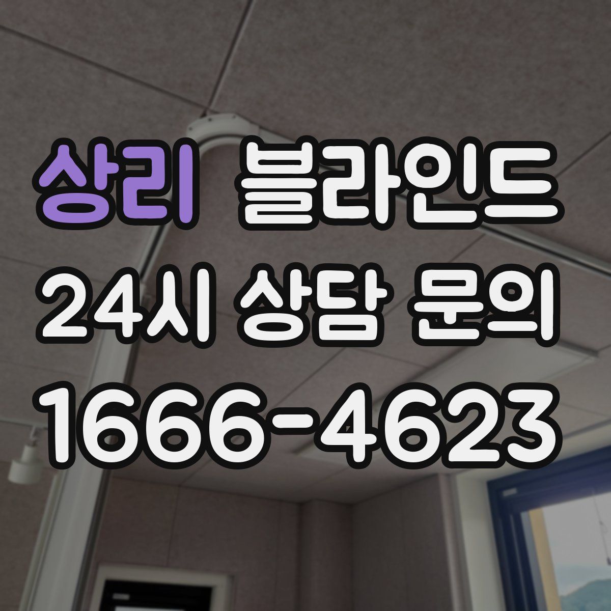 상리 블라인드