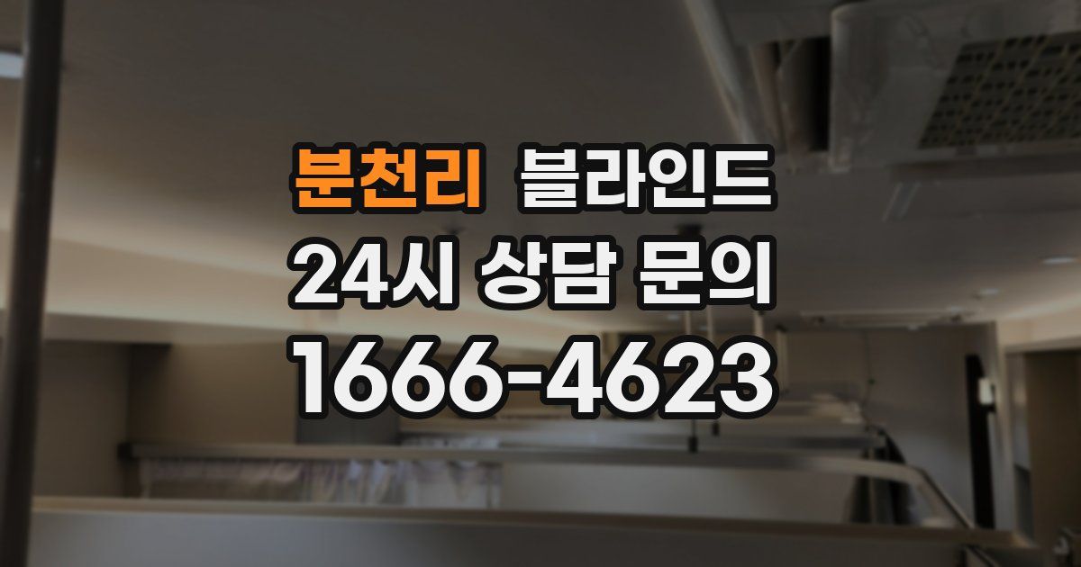 분천리 블라인드