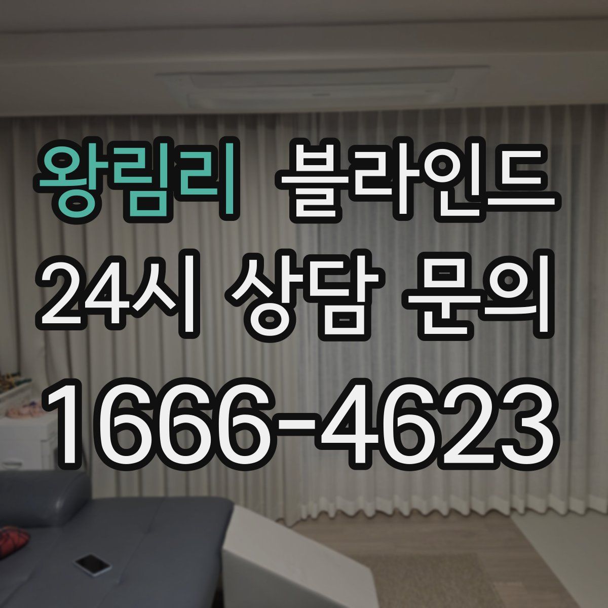 왕림리 블라인드