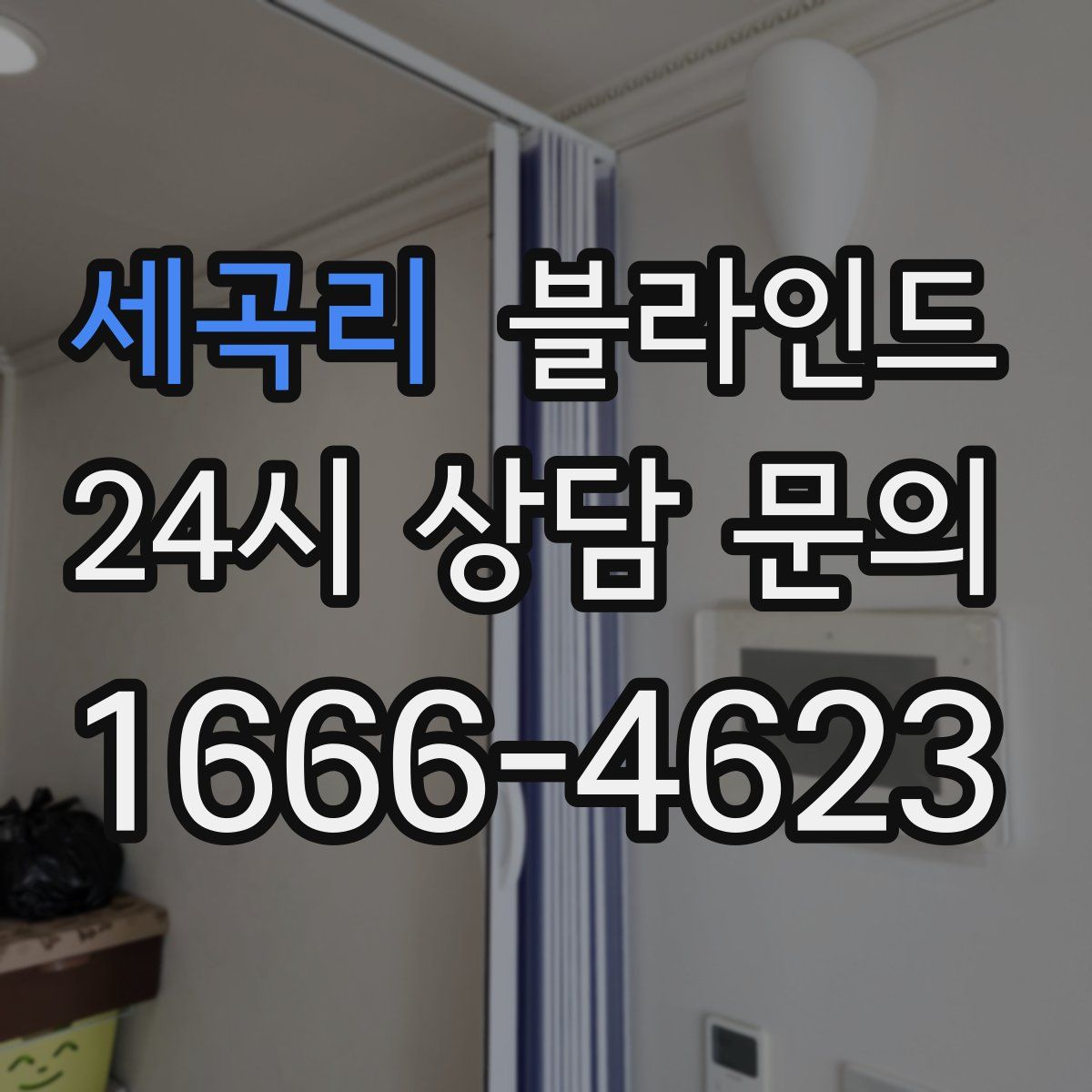 세곡리 블라인드