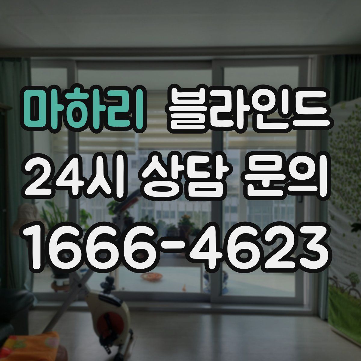 마하리 블라인드
