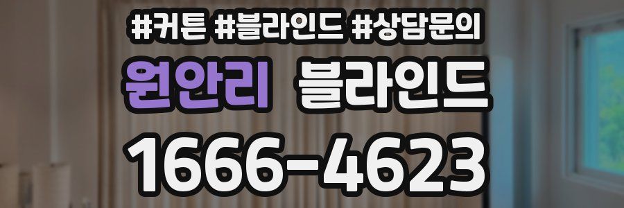 원안리 블라인드