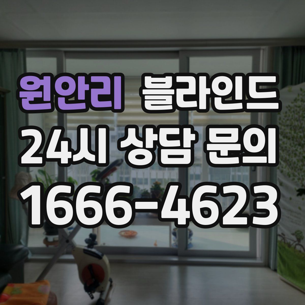 원안리 블라인드